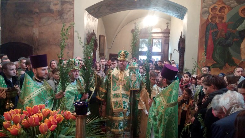 Niedziela Palmowa w lubelskiej katedrze